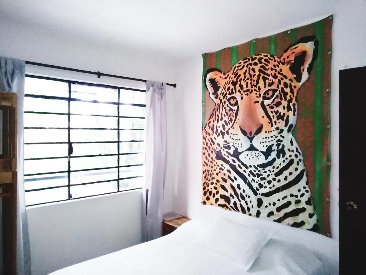Hostel Selvatica Alojamiento Eco (Adults Only) Medellín Colombia