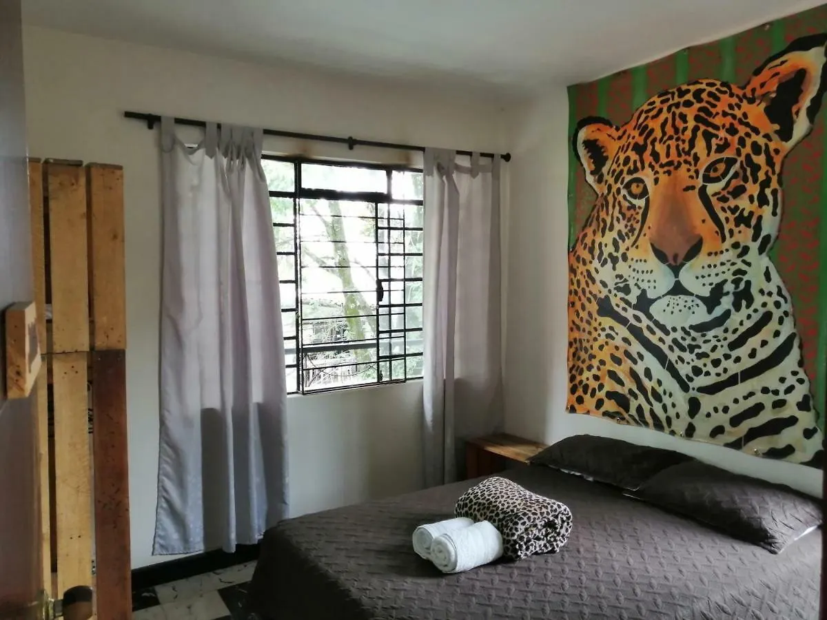Selvatica Alojamiento Eco (Adults Only) Medellín Hostel